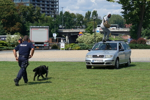 policyjny piknik na Wyspie Młyńskiej