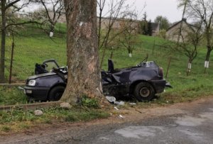 Samochód osobowy uderzył w drzewo