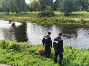 Policjanci nad brzegiem rzeki szukają zaginionego mężczyzny