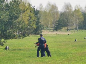Policyjni przewodnicy psów służbowych wraz ze swoimi psami na tle drzewo i radiowozów